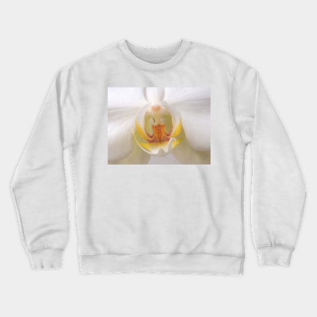 Into The Orchid Crewneck Sweatshirt by Michaelm43